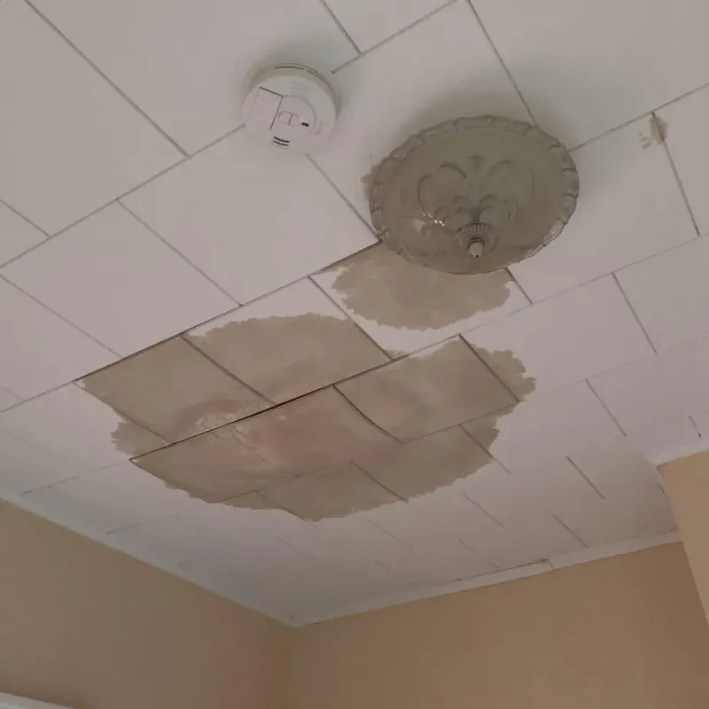 Ceiling Water Damage Repair in Redfield, SD