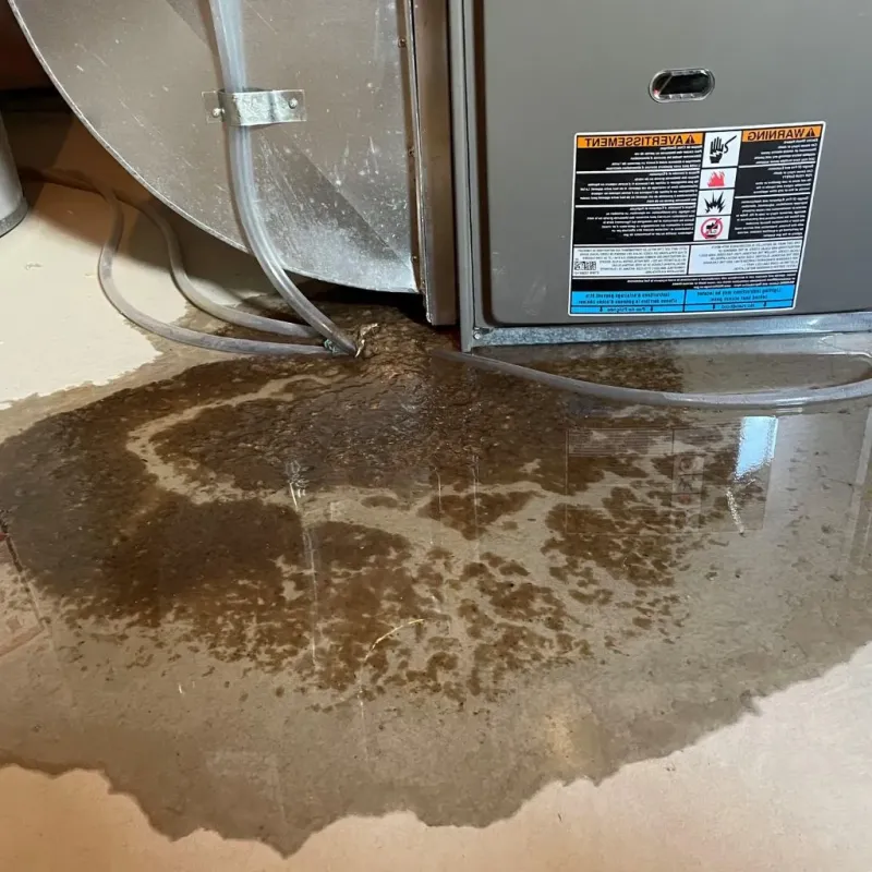 Pipe Burst and Leak Restoration in Redfield, SD